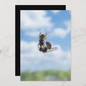 Wespen Einladung (Vorne/Hinten)