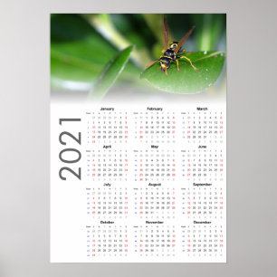 Wespen-Kalender 2021 Poster - Sonntag start