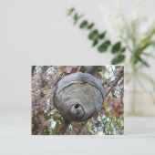 Wespennest Postkarte (Stehend Vorderseite)