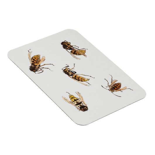 Wespenstudien - Julie de Graag Magnet (Rechte Seite)