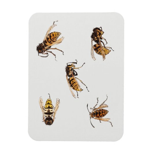 Wespenstudien - Julie de Graag Magnet (Vertikal)