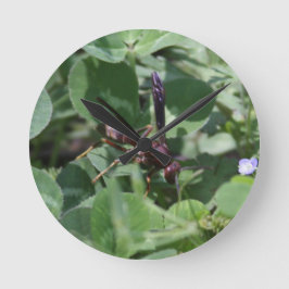 Wespenzange Runde Wanduhr