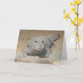 "West African Zwarf Crocodile" Geburtskarte Karte (Gelbe Blume)