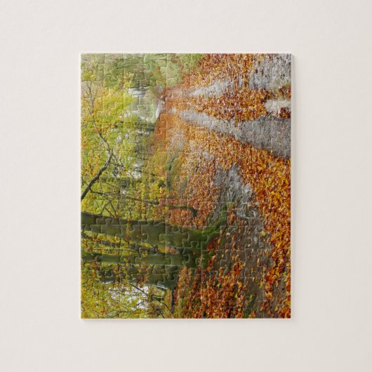 West Berkshire Path im Herbstpuzzle Puzzle (Vertikal)