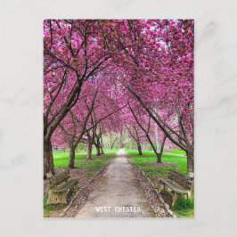 West Chester Everhart Park Post Card Postkarte