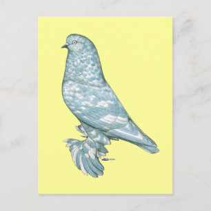 West-England Tumbler:  Lavendel Postkarte