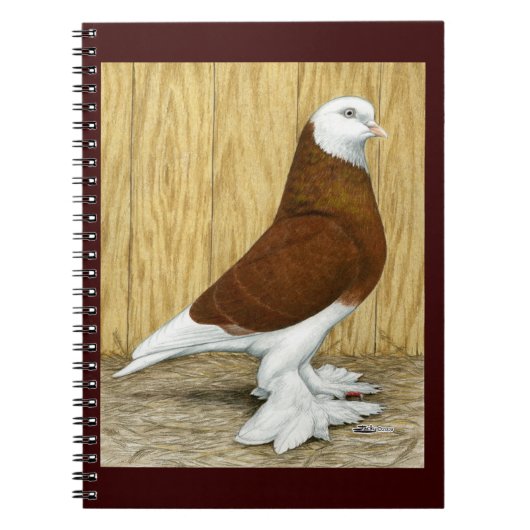 West-England Tumbler Red Baldhead Notizblock (Vorderseite)