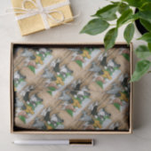 West-England Tumbler-Tauben Seidenpapier (Geschenk)