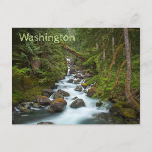 West Fork Foss River Washington Postkarte