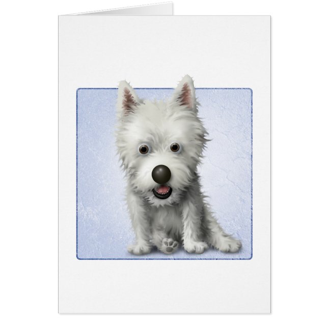 West Highland Terrier (Vorne)