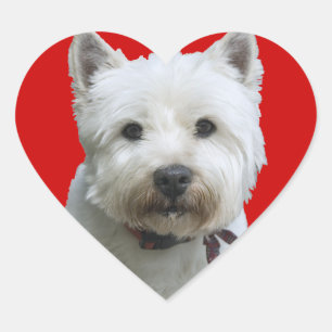 West Highland Terrier Herz-Aufkleber