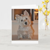 West Highland Terrier Karte (Gelbe Blume)