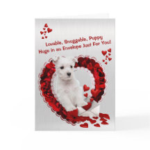 West Highland Terrier Lovable Snuggable Puppy Hugs