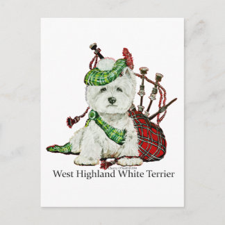 West Highland Terrier Postkarte