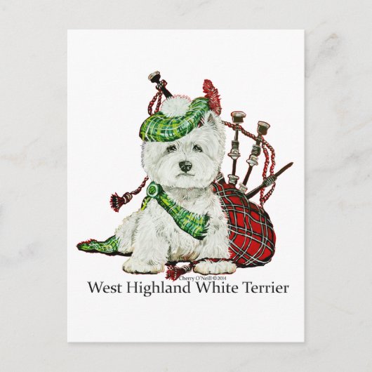 West Highland Terrier Postkarte (Vorderseite)