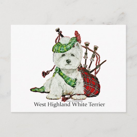 West Highland Terrier Postkarte (Vorderseite)