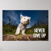West Highland Terrier Puppy Poster (Vorne)