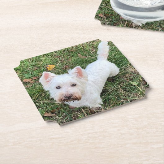 West Highland Terrier Untersetzer (angewinkelt)