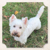 West Highland Terrier Untersetzer (Vorderseite)