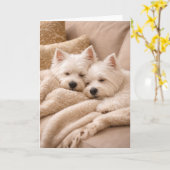 West Highland Terrier Valentine Card – Cozy Westie Karte (Gelbe Blume)