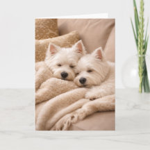 West Highland Terrier Valentinstagskarte – Gemütli