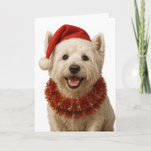 West Highland Terrier Weihnachtskarte