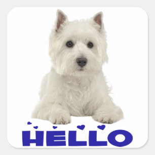 West Highland Terrier Weißer Welpenhund Hallo Herz Quadratischer Aufkleber