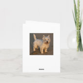 West Highland Terrier Welpe Hund Blank Blue Card Dankeskarte (Rückseite)