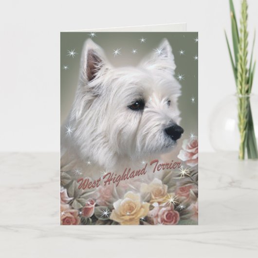 West Highland Terrier zwischen Rose Karten (Vorderseite)