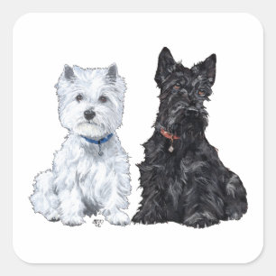 West Highland White & Schottische Terrier Quadratischer Aufkleber