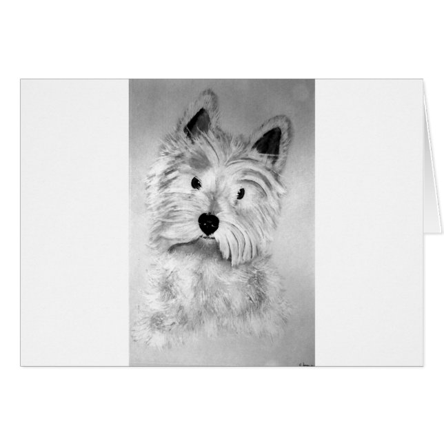 West Highland White Terrier (Vorderseite (Horizontal))
