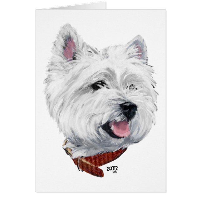 West Highland White Terrier (Vorne)