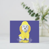 West Highland White Terrier April Duwers Postkarte (Stehend Vorderseite)