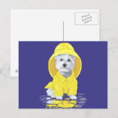 West Highland White Terrier April Duwers Postkarte (Vorne/Hinten)