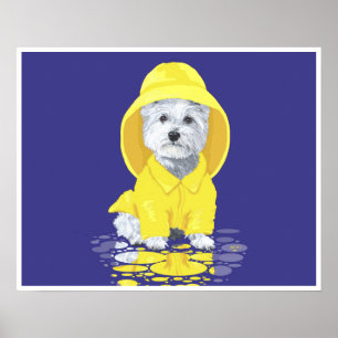 West Highland White Terrier April-Schauer Poster