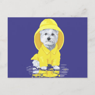 West Highland White Terrier April-Schauer Postkarte
