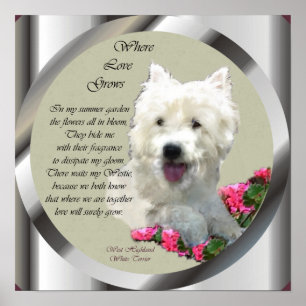 West Highland White Terrier Art Print Poster