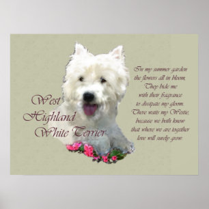 West Highland White Terrier Art Print Poster