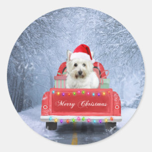 West Highland White Terrier Dog in Snow LKW Runder Aufkleber