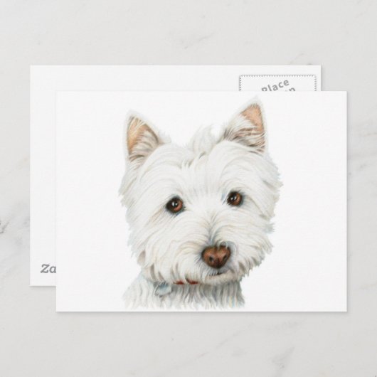 West Highland White Terrier Dog Postkarte (Vorne/Hinten)