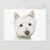West Highland White Terrier Dog Postkarte (Vorderseite)