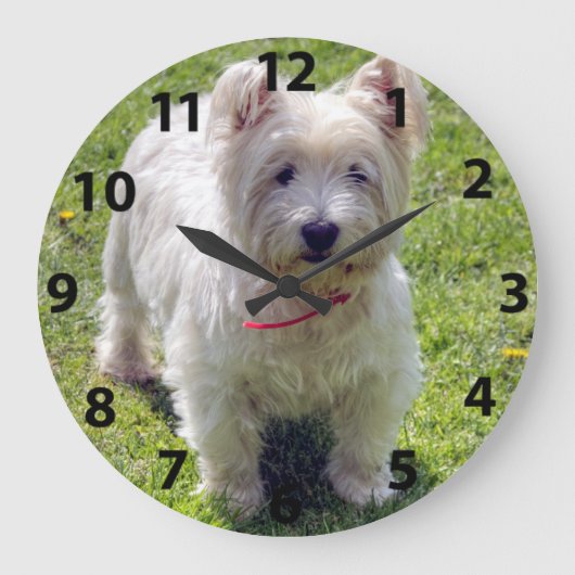 West Highland White Terrier Große Wanduhr (Vorderseite)