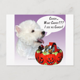 West Highland White Terrier Halloween Candy Postkarte
