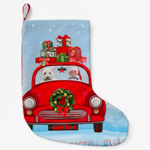 West Highland White Terrier Hund mit Weihnachtsman Kleiner Weihnachtsstrumpf