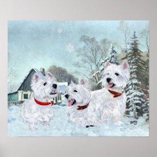 West Highland White Terrier im Schnee Poster