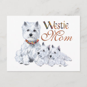 West Highland White Terrier Mutter & Welpen Postkarte