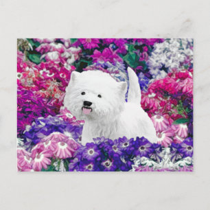 West Highland White Terrier Painting Dog Art Postkarte