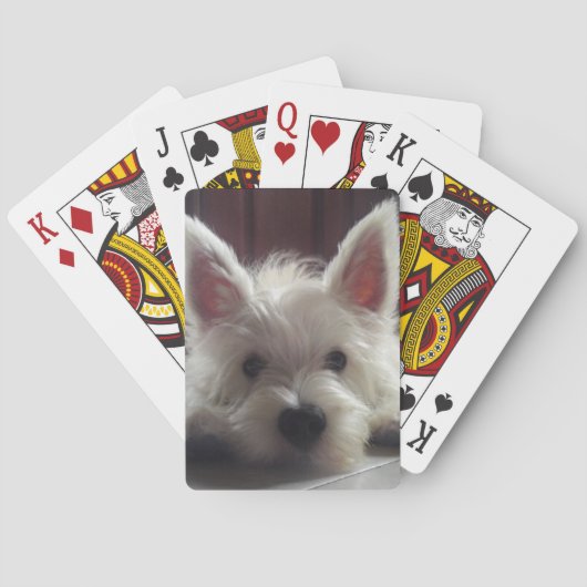 West Highland White Terrier Playing Cards Spielkarten (Rückseite)
