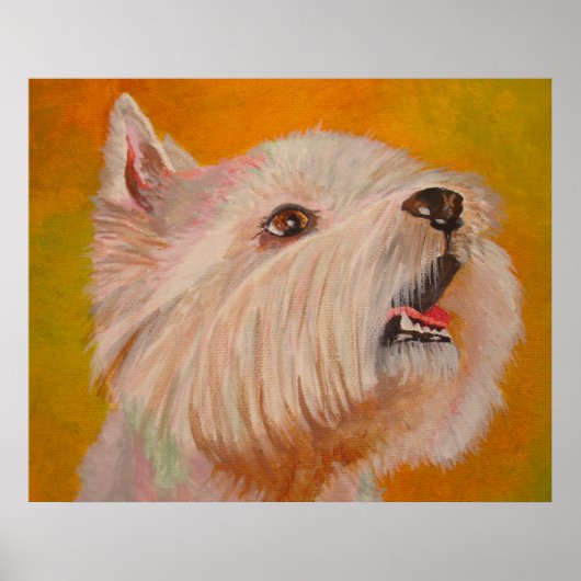 West Highland White Terrier Portrait Poster (Vorne)