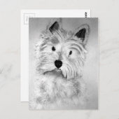 West Highland White Terrier Postcard Postkarte (Vorne/Hinten)